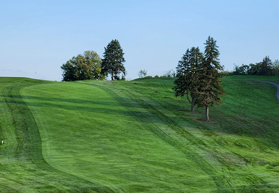 Home Rolling Green Golf Course